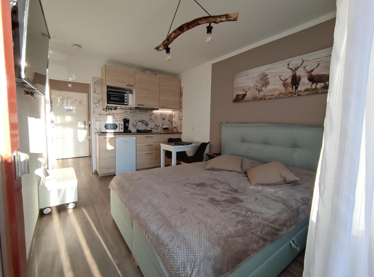 Studio 20Qm Mit Balkon Und Innenpool - 22010 Schluchsee Dış mekan fotoğraf