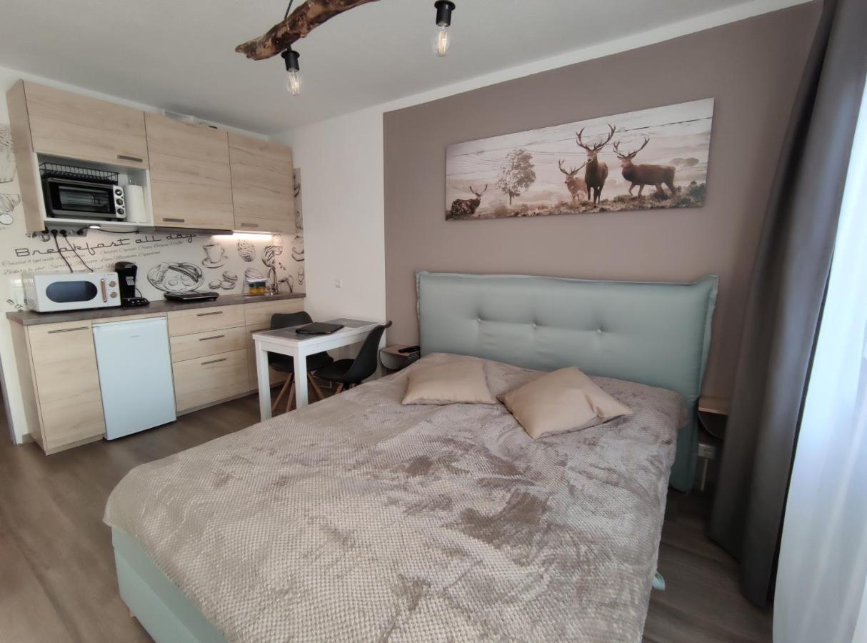 Studio 20Qm Mit Balkon Und Innenpool - 22010 Schluchsee Dış mekan fotoğraf